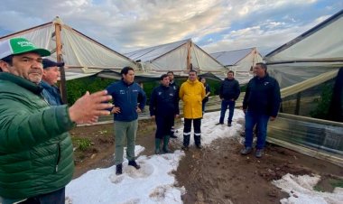 INDAP dispone ayudas tempranas para agricultores del Maule afectados por las recientes lluvias y granizadas