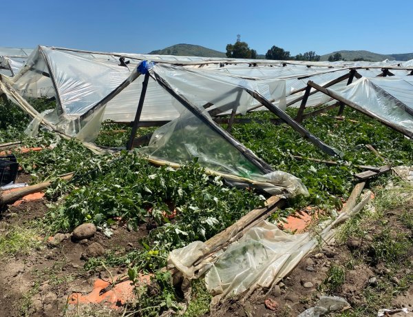 INDAP despliega operativo en terreno en la Región del Maule para evaluar daños por temporal y coordinar medidas de apoyo a agricultores
