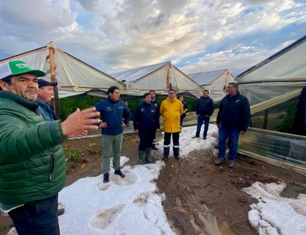 INDAP dispone ayudas tempranas para agricultores del Maule afectados por las recientes lluvias y granizadas