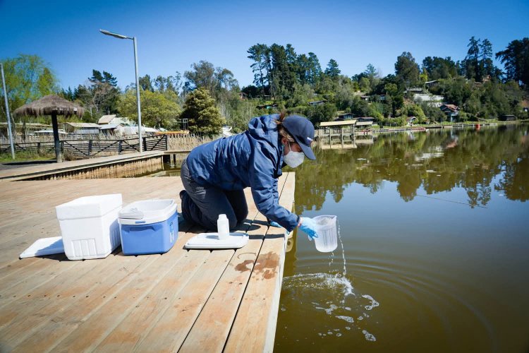 SEREMI de Salud del Maule refuerza monitoreo, capacitación y fiscalización en el lago Vichuquén