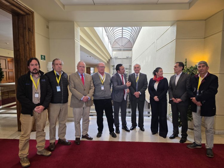 Federación de Juntas de Vigilancia del Maule plantea reparos al proyecto “Un Comunero, Un Voto”