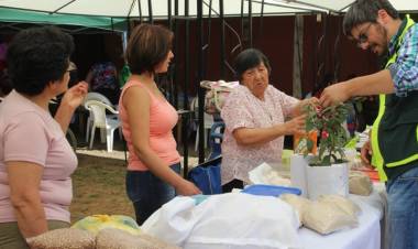 Mujeres rurales de Longaví obtienen premio nacional