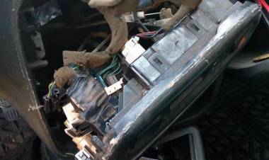 Roban a pintor linarense Claudio Sepúlveda