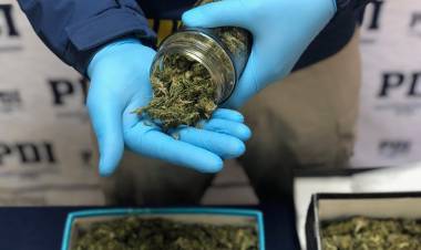 PDI sacó de circulación 2 kilos de cannabis procesada en Yerbas Buenas