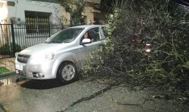 Alerta temprana por lluvias y vientos en la provincia de Linares