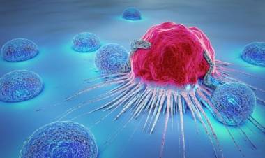 UTalca anuncia investigación conjunta con Instituto de México para desarrollar nuevas terapias contra el cáncer
