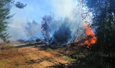 Fuego consume casi 20 hectáreas de bosque nativo en zona de “La Guardia” en la comuna de Colbún