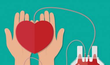 Hospital de Linares llama a la donación de sangre