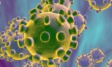 Especialistas en salud de la Universidad de Talca sobre el Coronavirus: no es necesario que toda la población use mascarillas