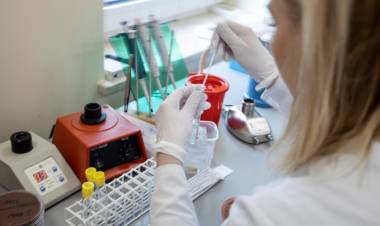 ÚltimaHora: Los casos positivos de Covid-19 se estancan nuevamente en Linares