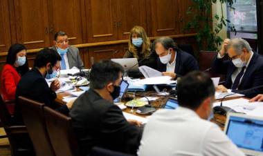 Senadora por el Maule Ximena Rincon dio negativo para Coronavirus