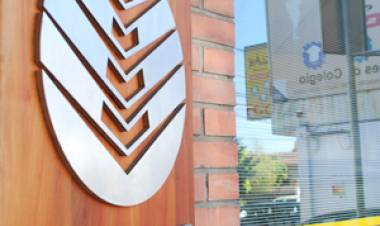 ¿Qué está pasando con mi cuenta de luz?,  la explicación de la empresa LuzLinares S.A. y LuzParral S.A.