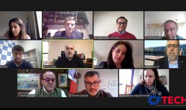 CFT Estatal del Maule participó en encuentro virtual con vicepresidente del Cruch