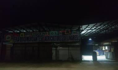 Confirman dos casos positivos de Covid-19 al interior de Feria de Comerciantes y Agricultores de Linares