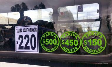 Adultos mayores pagarán 220 pesos por movilizarse  en la Línea “San Ambrosio” de Linares