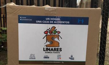 Progresistas y comunistas critican aprobación de 300 millones de pesos extras para la compra de cajas de alimentos en Linares