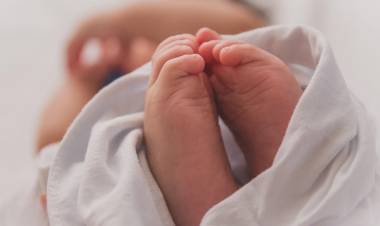 Académicas destacan importancia de la lactancia materna