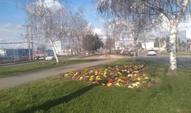 Confirman remodelación de la avenida Aníbal León Bustos de Linares