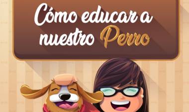 Cómo educar a nuestro perro