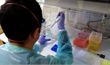 El reporte Covid-19 para Linares y el Maule