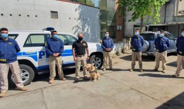 Perro "Akita” deja la PDI tras ocho años detectando drogas