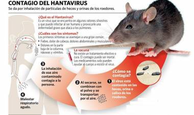 Primer caso de hantavirus de la temporada en Parral