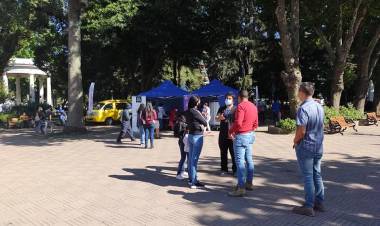 Leve baja de casos nuevos de Covid-19 en Linares