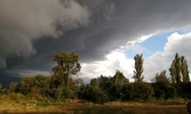 Juan Guillermo Fuentes Muñoz: “Nuestra tierra”