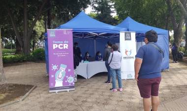 Pandemia del Covid-19 en Linares: 12 nuevos casos positivos para Coronavirus  y los activos llegan a 171