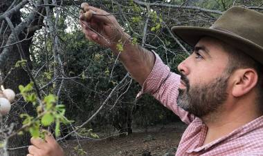 TRICEL rechaza apelación de concejal Eduardo Ibáñez y el ambientalista no podrá ir  a la reelección por un puesto en el Concejo Municipal