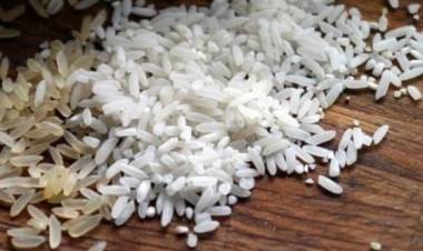 Organizaciones campesinas de productores de arroz analizaron situación de mercado