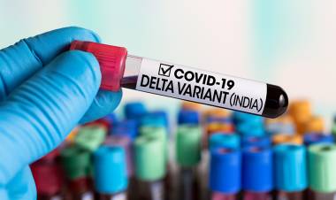 (AUDIO) No hay casos de la variante Delta del Covid-19 en Linares