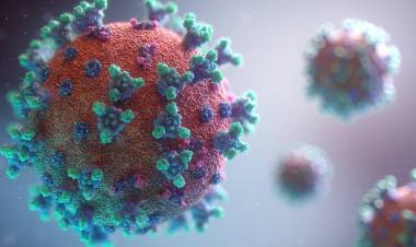 Once variantes del Covid han  sido detectadas en Chile