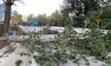 Diputado Matta pide urgente prórroga en plazo para que pescadores artesanales puedan postular a bono pyme e insiste en incorporar actividades anexas