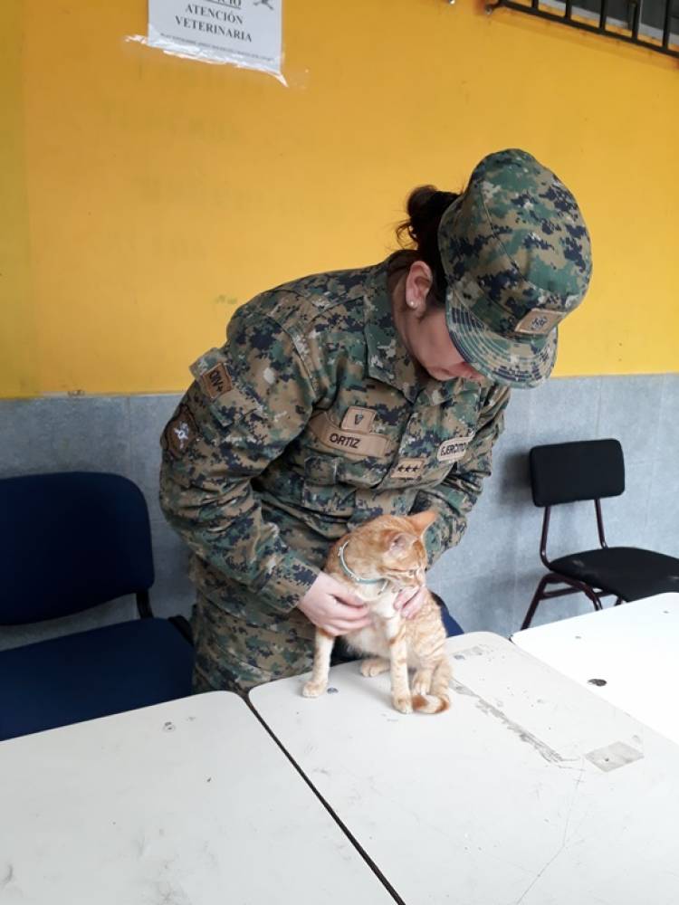 Escuela de Artillería realizó operativo en Maule sur