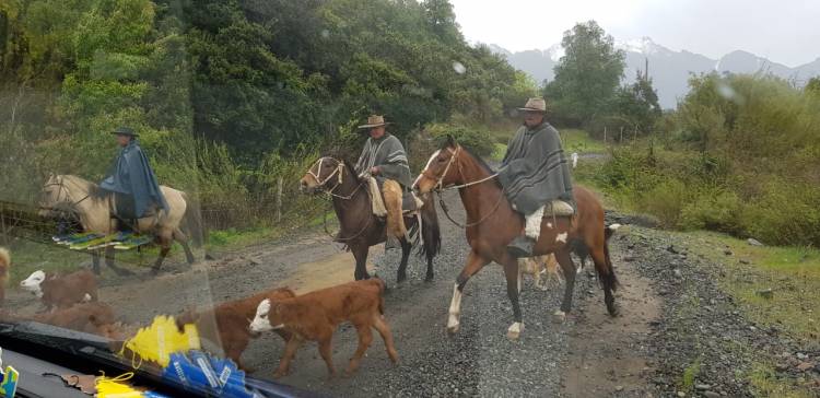 Vecinos de Melado denuncian abandono y piden mejoramiento de camino