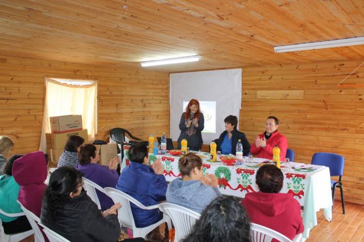 Vecinos de Longaví reciben capacitación en eficiencia energética