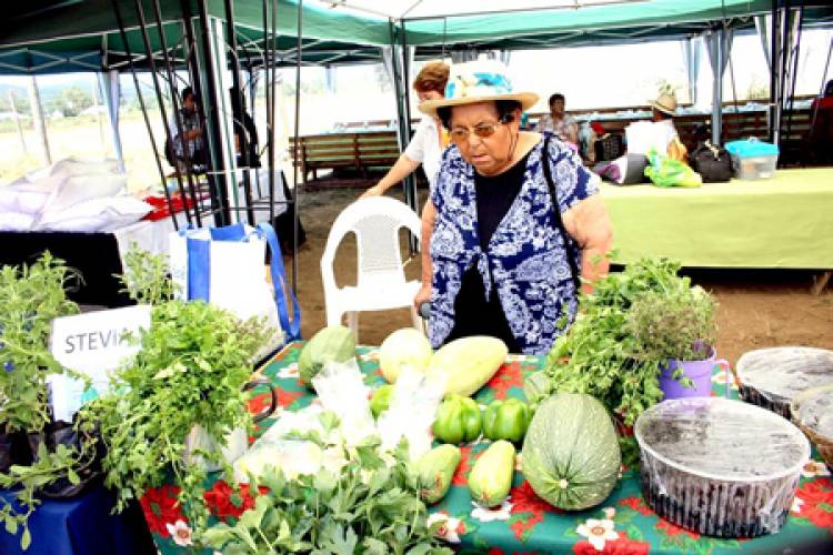  Mujeres rurales de Longaví obtienen premio nacional