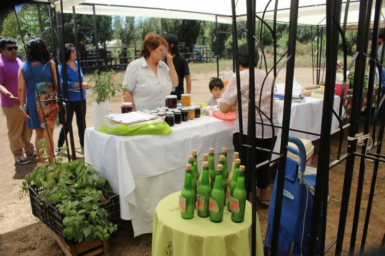  Mujeres rurales de Longaví obtienen premio nacional