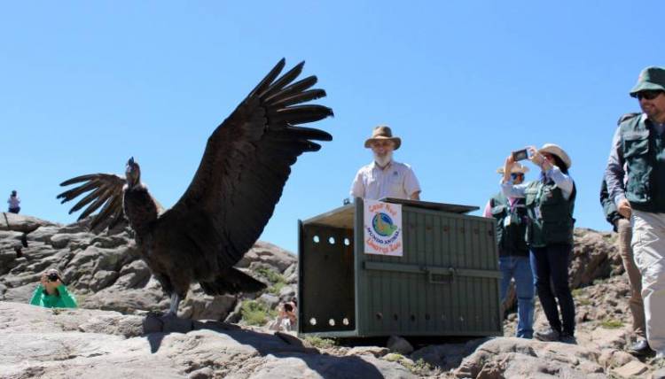 En una hectáreas crecerá zoológico linarense “Casa Noé, Mundo Animal”