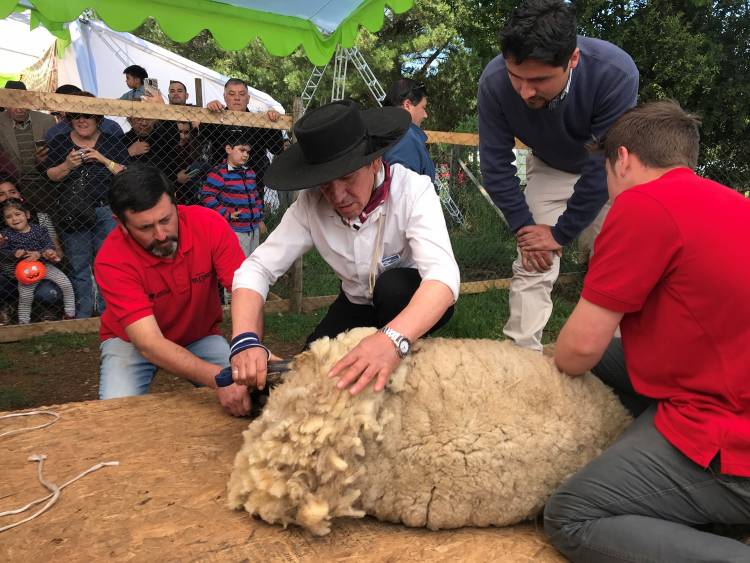 Cientos de personas disfrutaron de la Fiesta de “La Esquila”