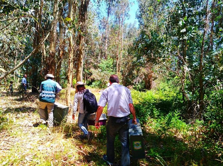 Liberan aves y un mamífero  rehabilitados en “Casa Noé, Mundo Animal” de Linares