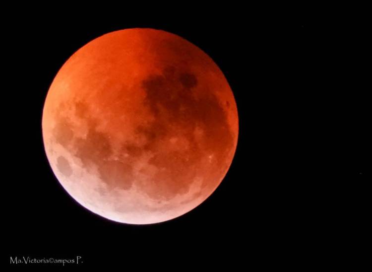 Así se vio la súper luna en los "cielos linarenses"