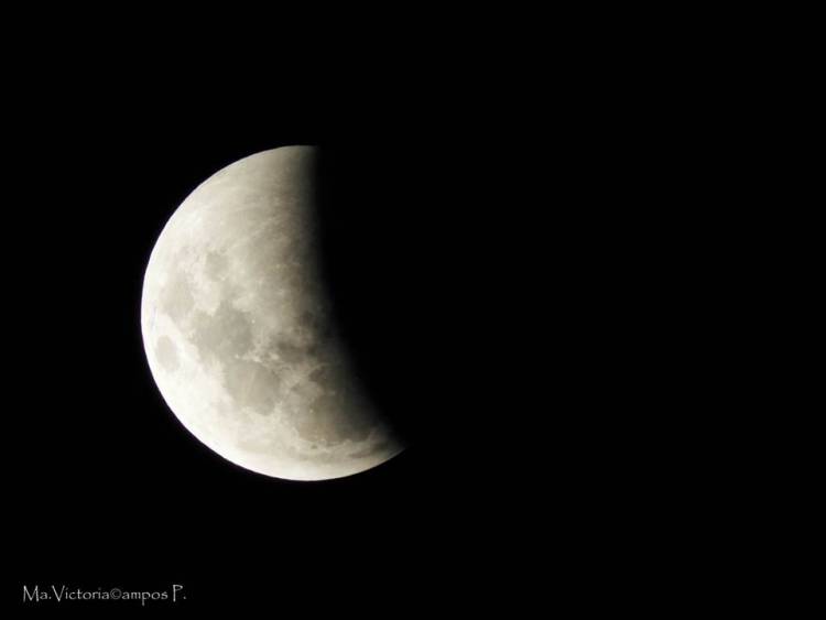 Así se vio la súper luna en los "cielos linarenses"