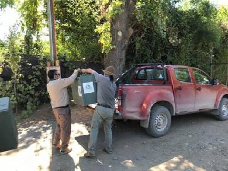 “Casa Noé” y el SAG liberan aves rapaces y una culebra