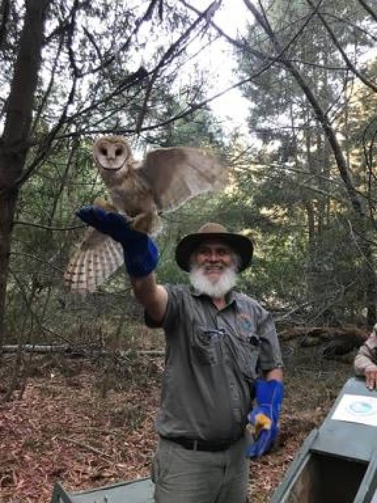 “Casa Noé” y el SAG liberan aves rapaces y una culebra