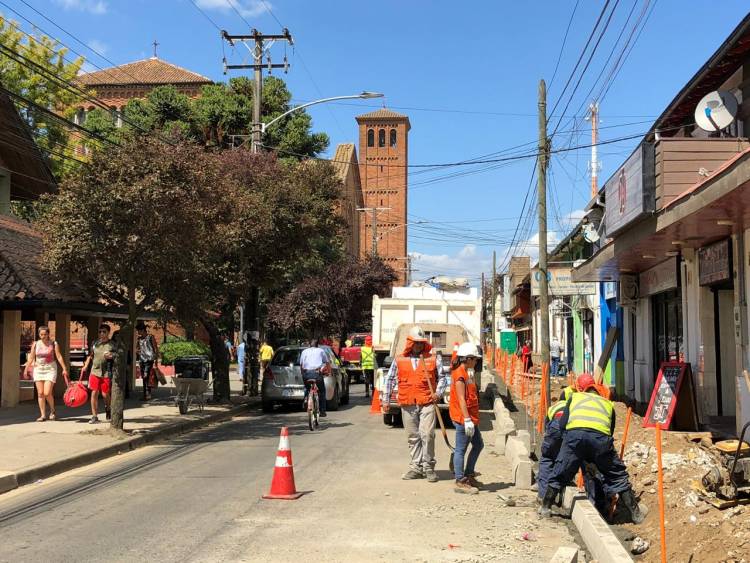 Anuncian proyecto de reforestación en Linares tras  eliminación de “ciruelos de flor primaveral”