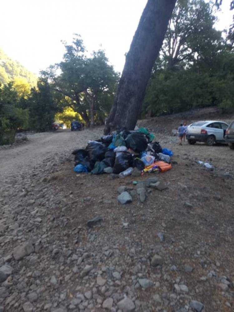 Linares “pierde” la guerra contra la basura                            