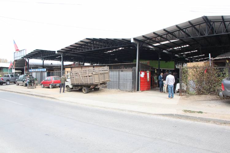 Inauguran nueva techumbre de la “Feria de los Agricultores” de Linares 