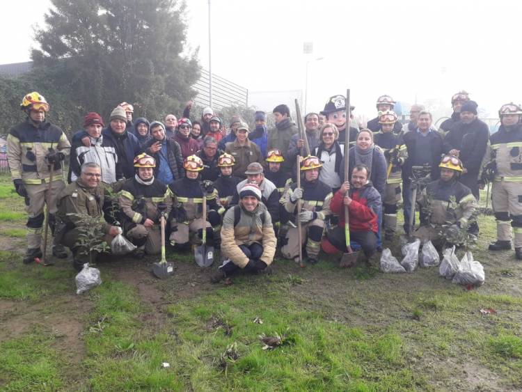 Positivo operativo de limpieza y plantación de árboles en Linares